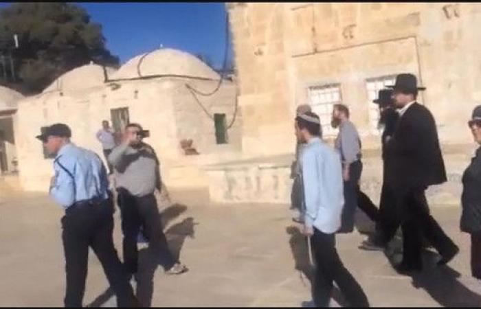 فيديو.. إسرائيل تسمح لمتطرفين باقتحام "صحن الصخرة"