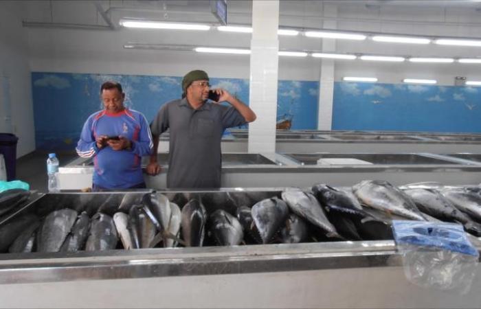 تجارة السمك بالسلطنة.. مهنة تورّث للأجيال