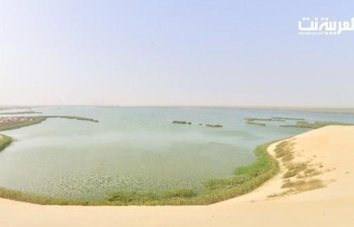 الخليح | البحيرة الأكبر في الخليج تتحول إلى محمية في الأحساء