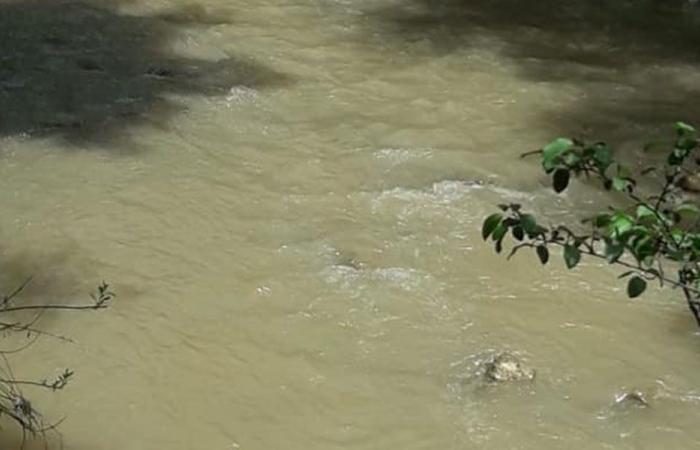 تلوث المياه في نهر رشميا ومناشدة للمعنيين!
