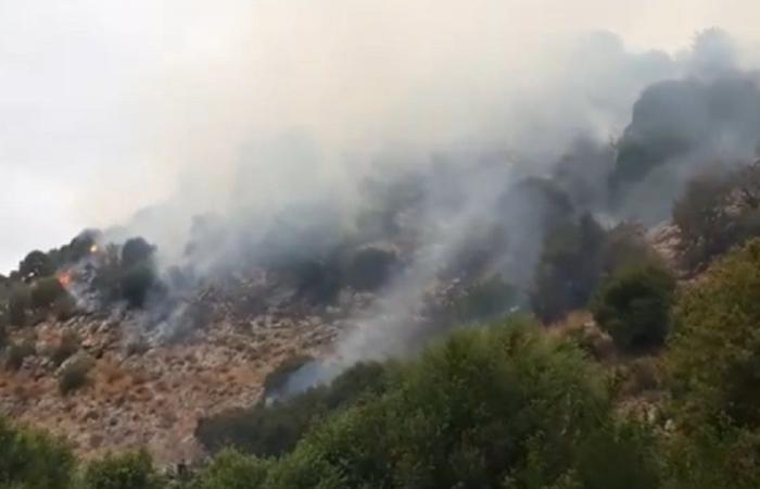 حريق في خراج بلدة الهد في عكار