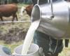 منتجو الحليب في القاع والمشاريع: لوقف التهريب السوري