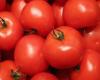 المغرب… قرار مهم لكبح ارتفاع أسعار الطماطم
