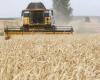 صادرات الحبوب الأوكرانية تهبط 51% في أيلول