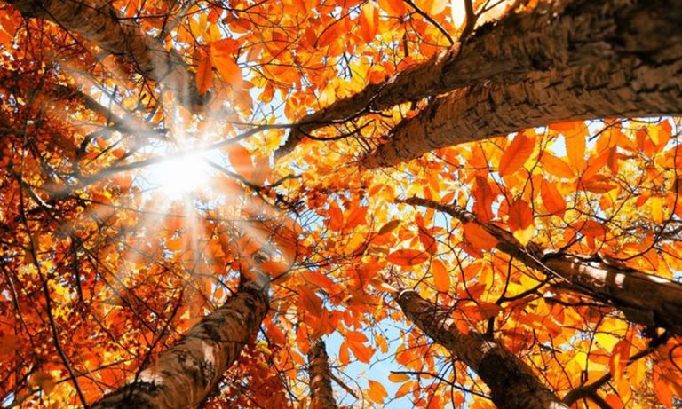 طقس خريفي يسيطر على لبنان طقس-خريفي-يسيطر-على-لبنان