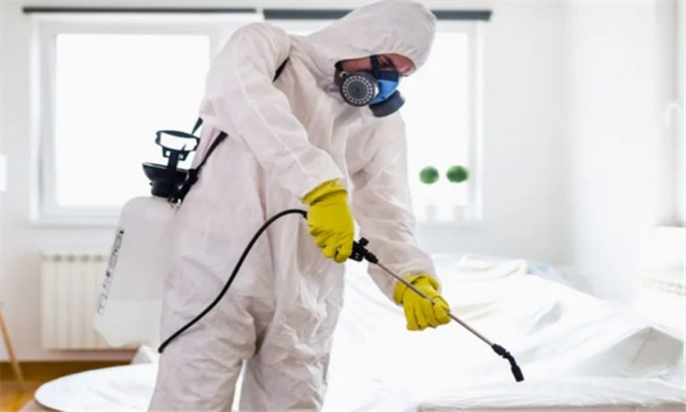 رسميًا…-البق-وصل-لبنان-وانتشر-في-هذه-المناطق!