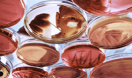 "أهم-من-عمرنا-الحقيقي".-أربعة-أنماط-بيولوجية-للشيخوخة!