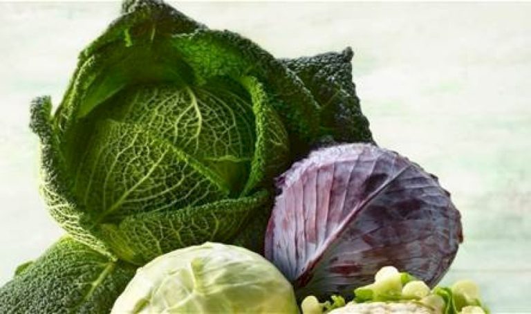 خضروات-الشتاء-تعزز-جهاز-المناعة.-اليكم-آخر-الدراسات