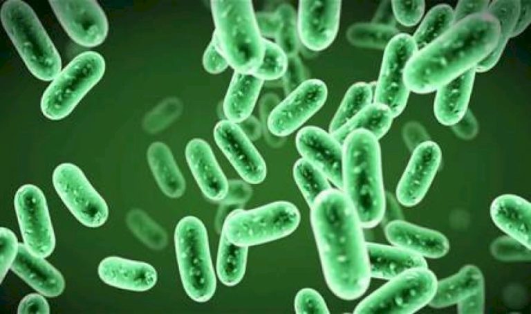 عدوى-بكتيرية-شائعة-في-المعدة-قد-تزيد-من-خطر-الإصابة-بهذا-المرض!