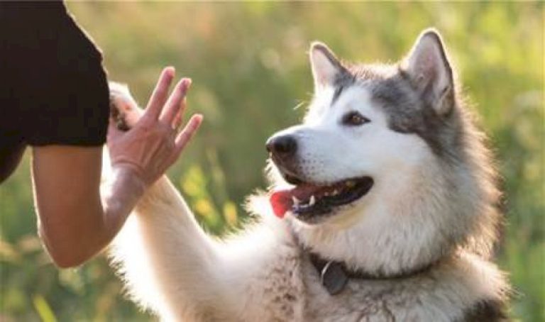 4 عادات يومية سهلة للعام الجديد ستحسّن صحتك! 4-عادات-يومية-سهلة-للعام-الجديد-ستحسّن-صحتك!