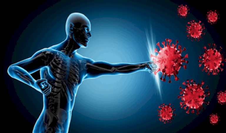 علماء-يستنسخون-توت-القطب-الشمالي-المفيد-لمناعة-البشر