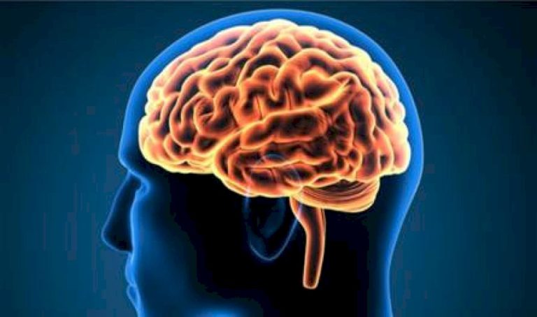 تأثير-الالتهابات-الفيروسية-على-الدماغ…-هذا-ما-كشفته-دراسة-جديدة