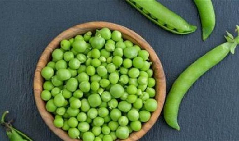 يُعرف بلحم الفقراء.. إليكم فوائد هذا الطعام يُعرف-بلحم-الفقراء.-إليكم-فوائد-هذا-الطعام