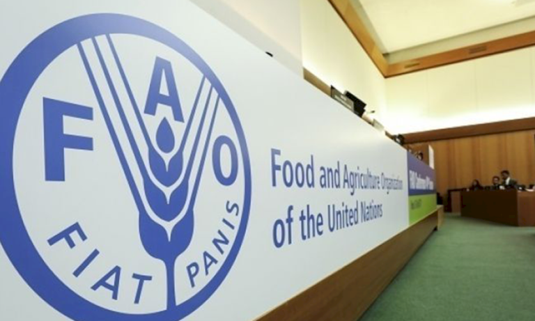 “الفاو”: انخفاض أسعار المواد الغذائية 13,7 في المئة “الفاو”:-انخفاض-أسعار-المواد-الغذائية-13,7-في-المئة