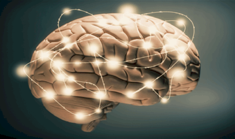 دراسة تكشف.. إليكم مفتاح تعزيز حجم الدماغ في مناطق الذاكرة والتعلم دراسة-تكشف.-إليكم-مفتاح-تعزيز-حجم-الدماغ-في-مناطق-الذاكرة-والتعلم