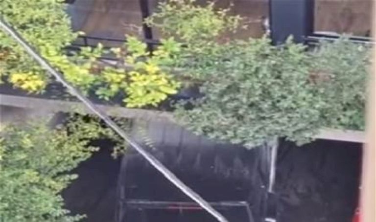 بالفيديو… إحراق سيارة “بلوغر” في الأشرفية! بالفيديو…-إحراق-سيارة-"بلوغر"-في-الأشرفية!