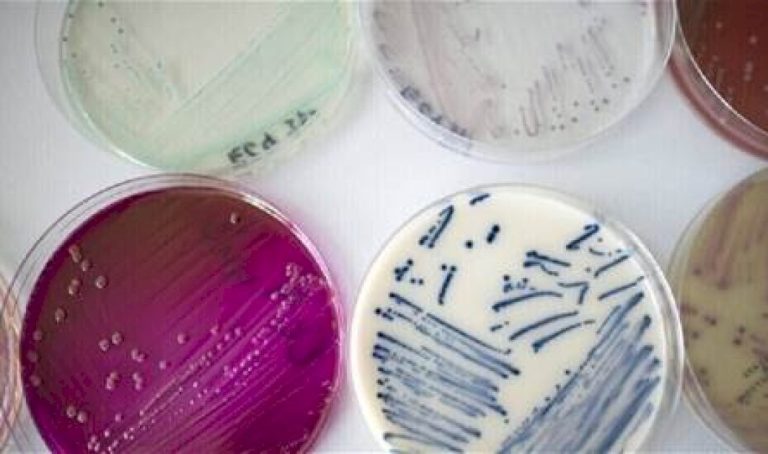 حالة مرضية ضاعفت الوفيات حول العالم في عقدٍ واحدٍ فقط! حالة-مرضية-ضاعفت-الوفيات-حول-العالم-في-عقدٍ-واحدٍ-فقط!