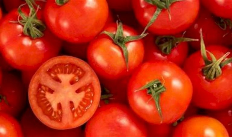 دراسة-جديدة.-الطماطم-تفيد-في-تقليل-خطر-الإصابة-بارتفاع-الدم