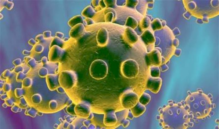 تهدد-بملايين-الوفيات-سنويا.-اليكم-خطة-العلماء-الثورية-لمواجهة-"البكتيريا-الخارقة"