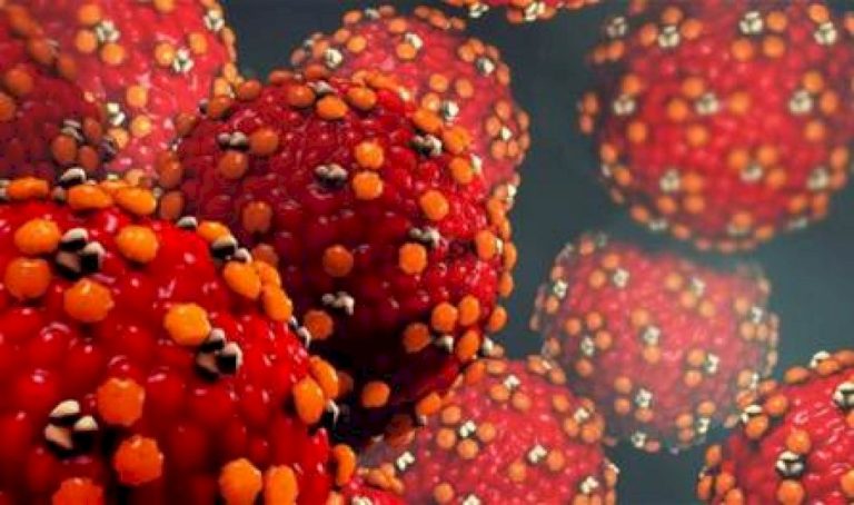 قلقٌ كبير… تحذير من عودة مرض خطير إلى أوروبا قلقٌ-كبير…-تحذير-من-عودة-مرض-خطير-إلى-أوروبا