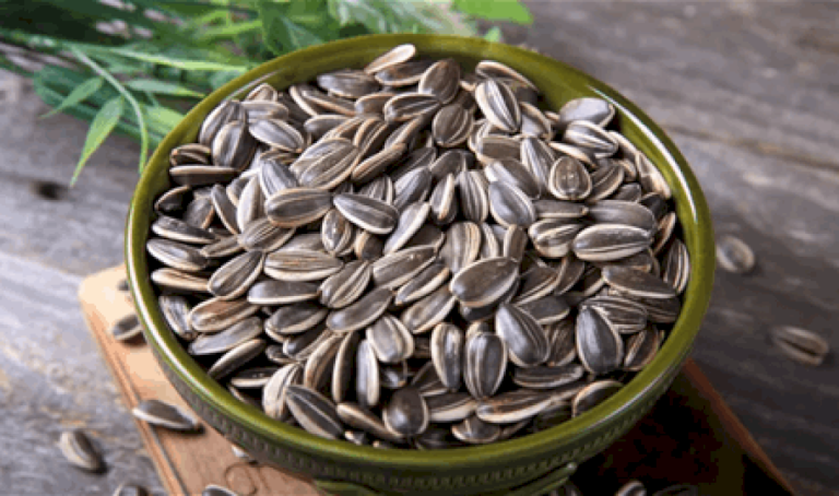 ليست-للتسلية-فقط.-إليك-فوائد-بذور-دوار-الشمس
