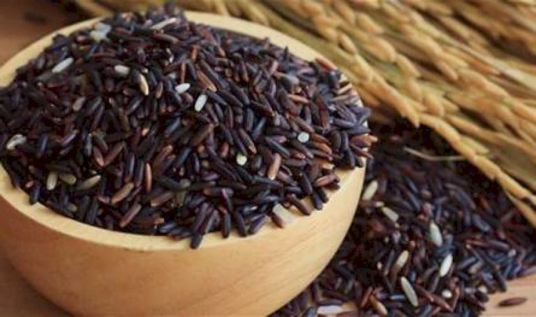 "الأرز-الأسود".-كنز-من-الفوائد-الغذائية