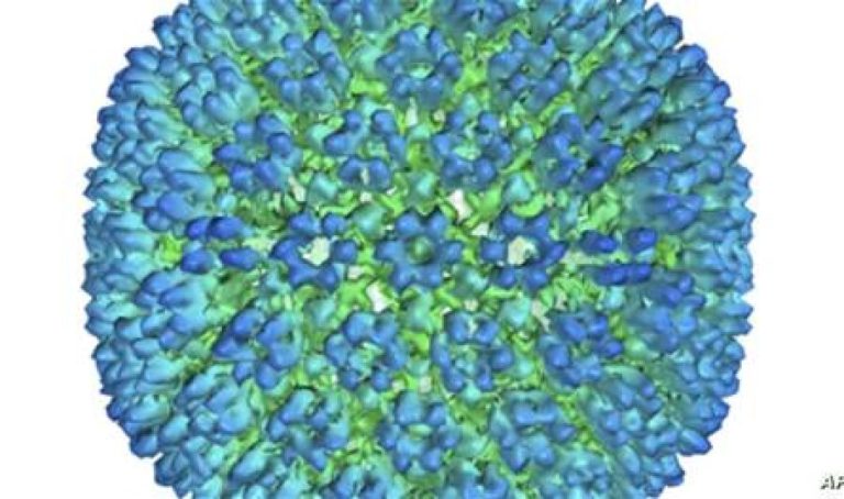 لماذا تصاب النساء بـ"أمراض المناعة الذاتية" أكثر من الرجال؟ لماذا-تصاب-النساء-بـ"أمراض-المناعة-الذاتية"-أكثر-من-الرجال؟