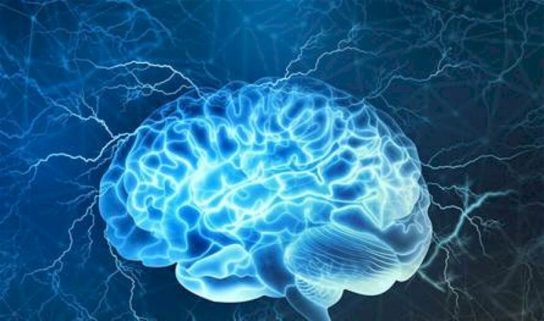 عادات يومية للحفاظ على صحة دماغك عادات-يومية-للحفاظ-على-صحة-دماغك