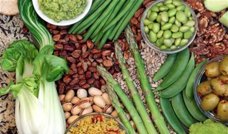 البروتين الحيواني أم النباتي.. أيهما الأفضل؟ البروتين-الحيواني-أم-النباتي.-أيهما-الأفضل؟