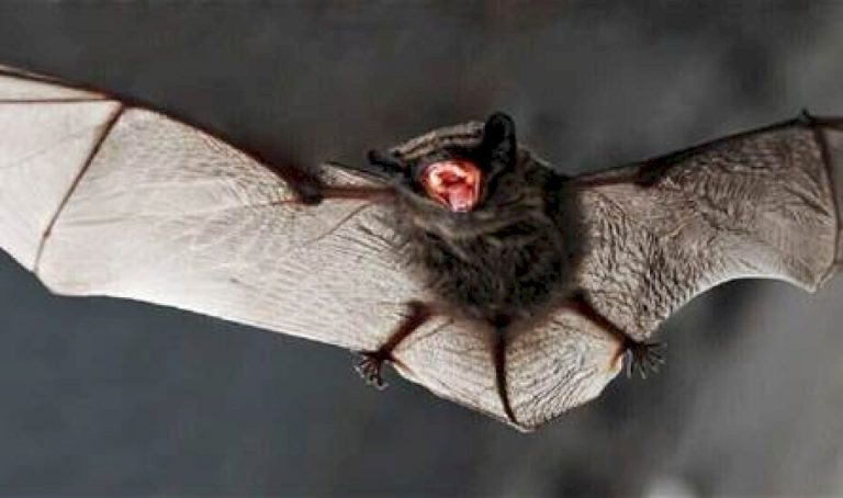 انتشاره مسألة وقت.. اكتشاف طريقة واحدة لمنع "X" ما هي؟ انتشاره-مسألة-وقت.-اكتشاف-طريقة-واحدة-لمنع-"x"-ما-هي؟