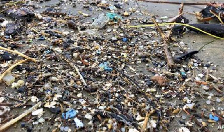 دراسات-خطرة.-البلاستيك-يغزو-خلايا-الإنسان