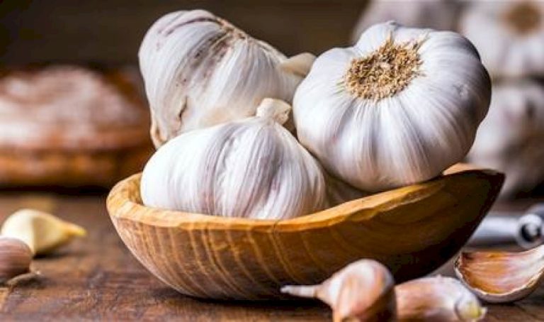 لن-تصدقوا-فوائده.-إقرأوا-ماذا-يفعل-الثوم-بصحة-الإنسان