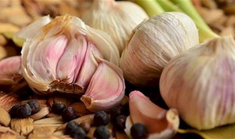 كيف تتخلص من رائحة الثوم من الفم؟ كيف-تتخلص-من-رائحة-الثوم-من-الفم؟