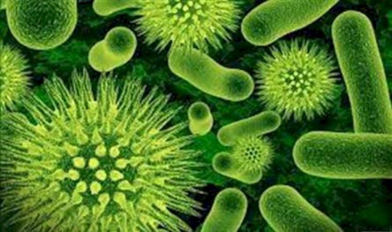 فيروس-جديد-يثير-الهلع-في-لبنان.-هل-ينتقل-من-الحيوانات؟