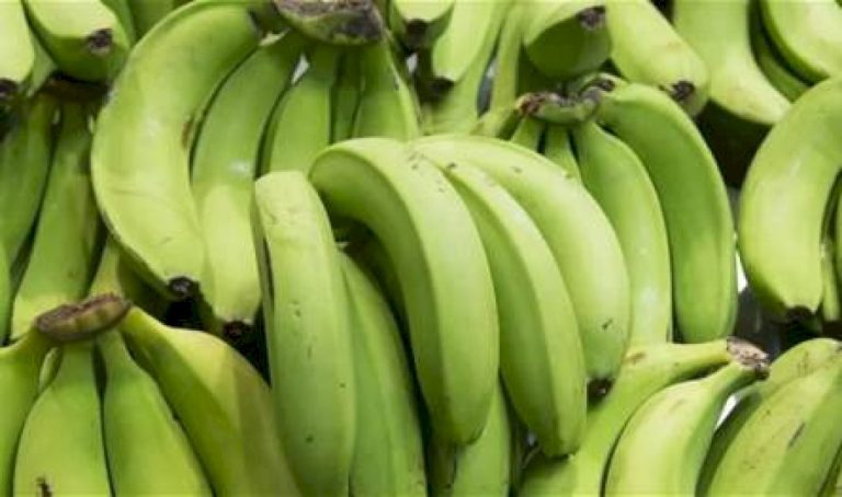 طبيب يكشف فوائد الموز لصحة القلب طبيب-يكشف-فوائد-الموز-لصحة-القلب
