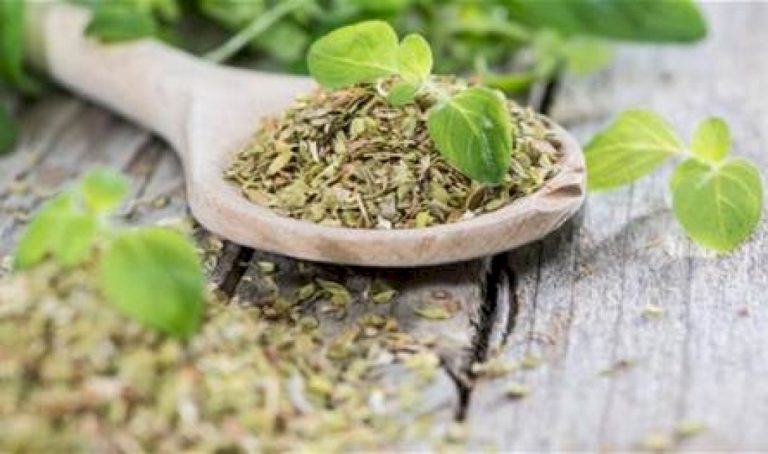 العشبة-رقم-1-للحفاظ-على-ضغط-دم-صحي.-تعرفوا-عليها