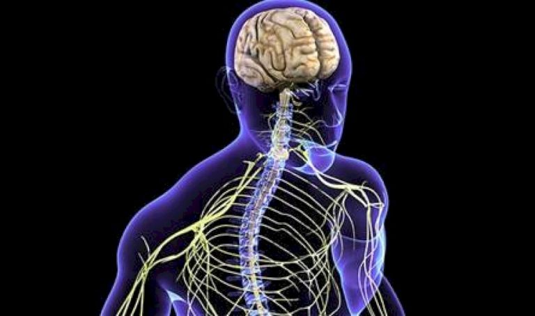 حالياً.. ما هو "السبب الرئيسي" للإعاقة عالمياً؟ حالياً.-ما-هو-"السبب-الرئيسي"-للإعاقة-عالمياً؟