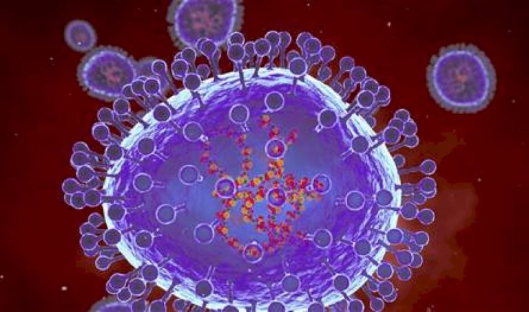 أعراضه مشابهة لكورونا.. تحذير من فيروس خطير "مختبئ" يمكن أن يعود هذا الربيع أعراضه-مشابهة-لكورونا.-تحذير-من-فيروس-خطير-"مختبئ"-يمكن-أن-يعود-هذا-الربيع