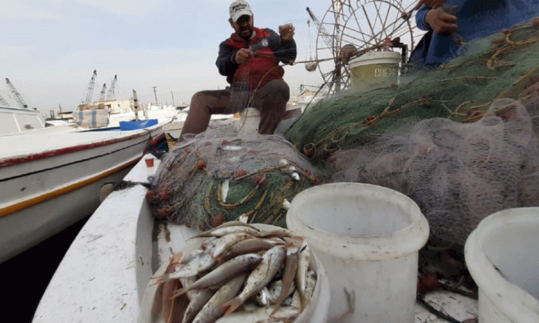 مستوردو السمك يرفعون أسعاره 3 أضعاف مستوردو-السمك-يرفعون-أسعاره-3-أضعاف