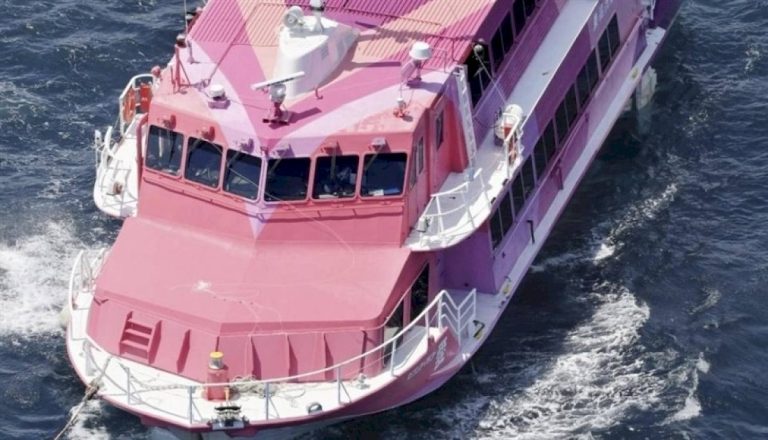 طوكيو.-انجراف-سفينة-تحمل-أكثر-من-100-راكب