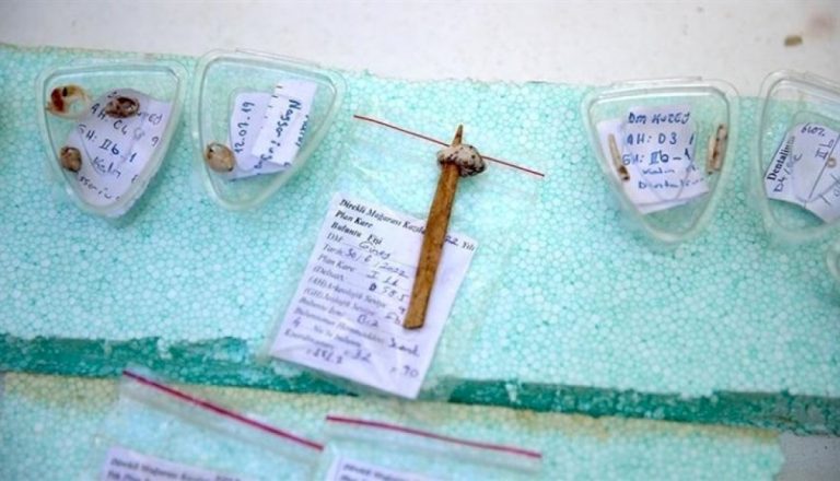 تركيا.. اكتشاف أدوات خياطة تعود إلى 13 ألف عام تركيا.-اكتشاف-أدوات-خياطة-تعود-إلى-13-ألف-عام