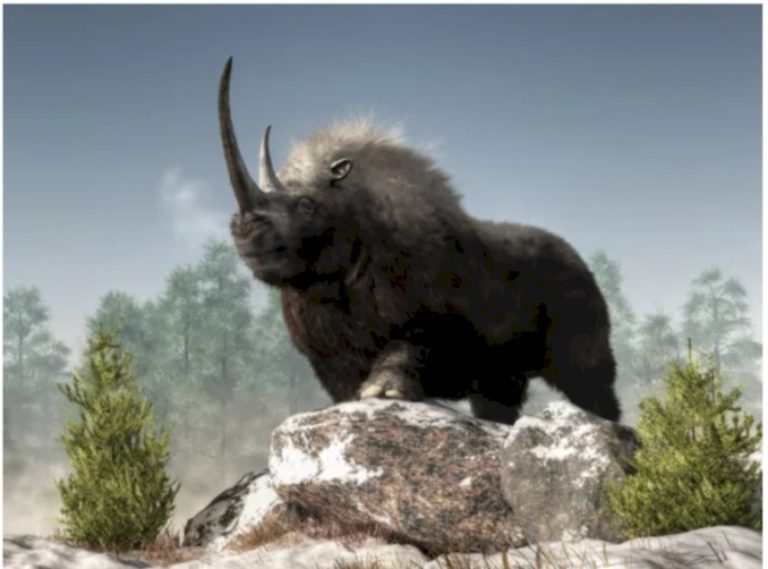 منقبون عن الذهب يعثرون على كنز من نوع آخر منقبون-عن-الذهب-يعثرون-على-كنز-من-نوع-آخر