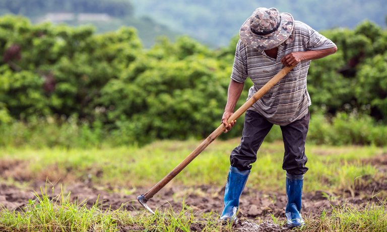 التصدير-الزراعي-“ينزف-ويَئنّ”!
