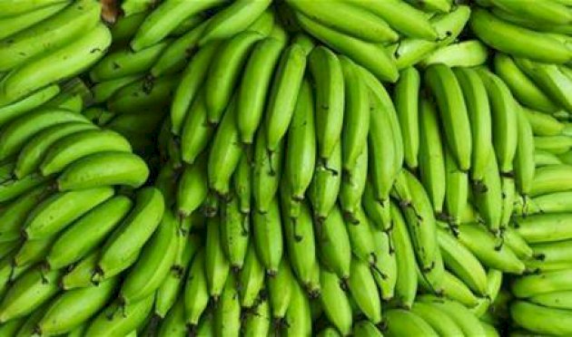 هذا-ما-تفعله-موزة-خضراء-يوميًا-بجسدك!