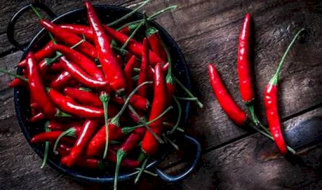 الفلفل-الحار-مفيد-للحوامل.-اليكم-آخر-ما-توصلت-اليه-الدراسات
