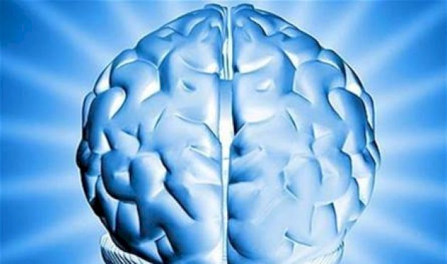 دور جديد للدماغ في داء السكري.. اليكم آخر الابحاث دور-جديد-للدماغ-في-داء-السكري.-اليكم-آخر-الابحاث