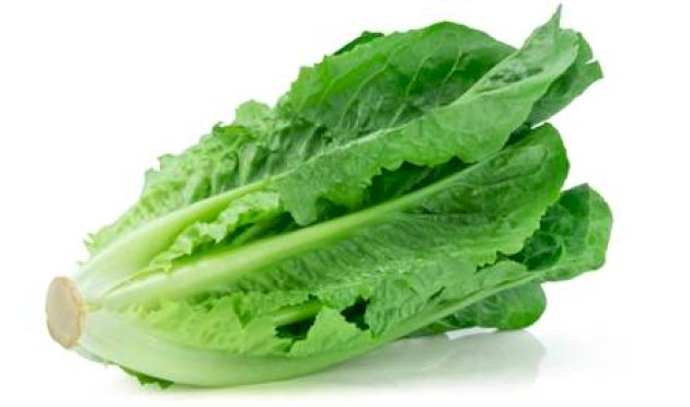 فوائد الخس.. من تعزيز المناعة إلى تحسين الهضم فوائد-الخس.-من-تعزيز-المناعة-إلى-تحسين-الهضم