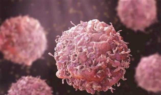"خلية داخل خلية".. اكتشاف يغيّر مسار علاج سرطان الدم "خلية-داخل-خلية".-اكتشاف-يغيّر-مسار-علاج-سرطان-الدم