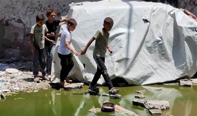 يستهدف الأطفال… مرض خطير ومميت يتفشى في غزة يستهدف-الأطفال…-مرض-خطير-ومميت-يتفشى-في-غزة