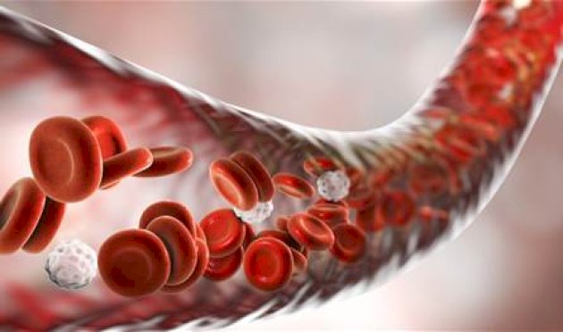 دراسة-تكشف-العلاقة-بين-ضعف-تدفق-الدم-ونمو-السرطان